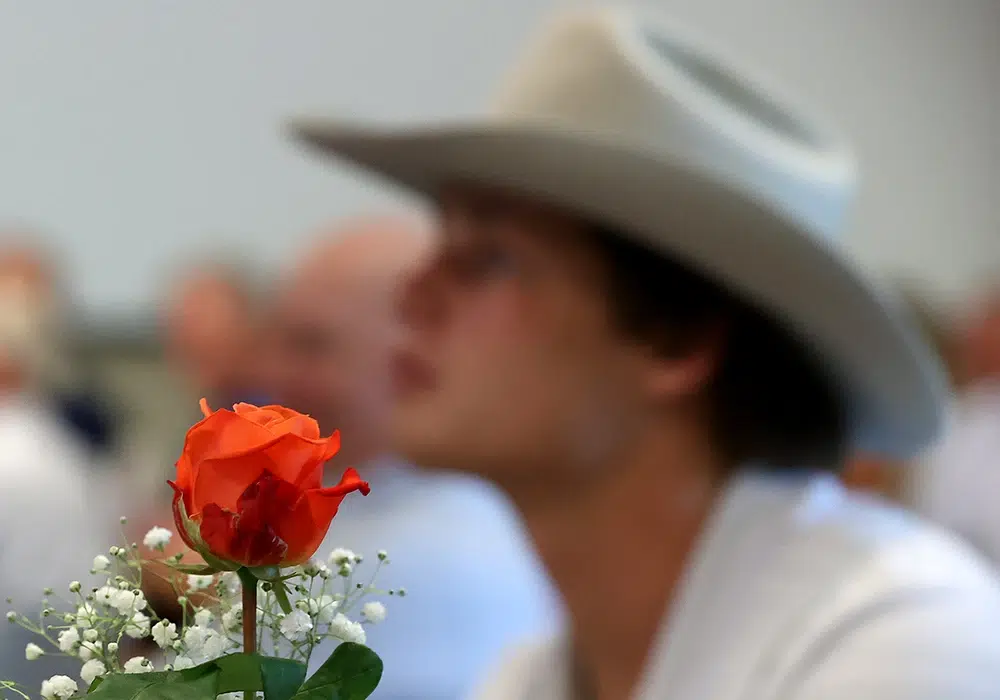 orange rose